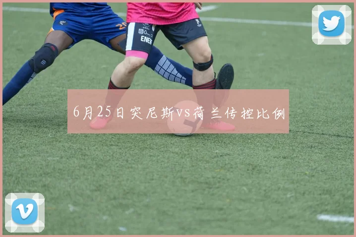 6月25日突尼斯vs荷兰传控比例