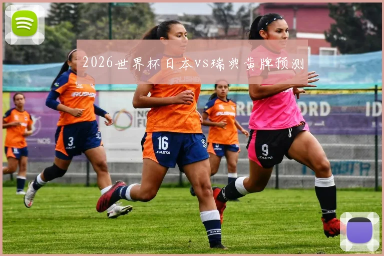 2026世界杯日本vs瑞典黄牌预测