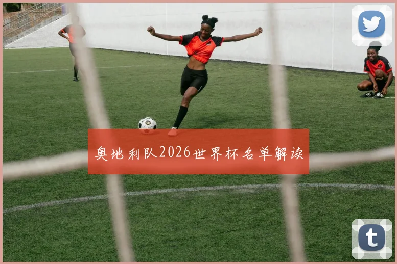 奥地利队2026世界杯名单解读