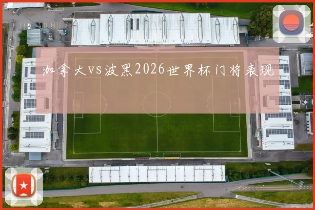 加拿大vs波黑2026世界杯门将表现