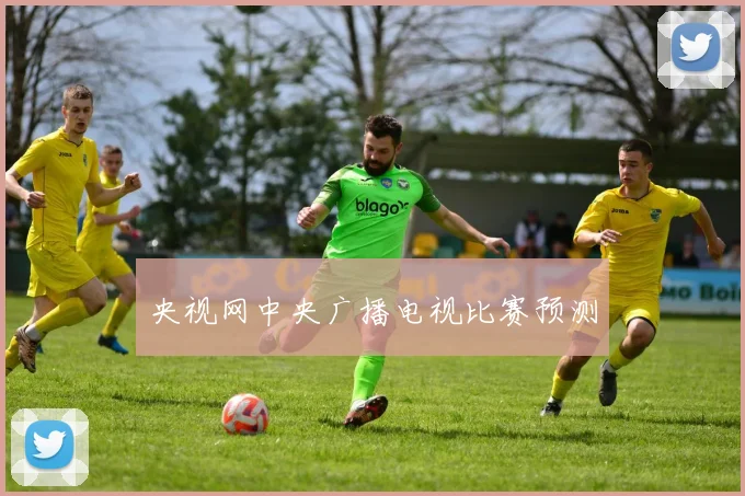 央视网中央广播电视比赛预测