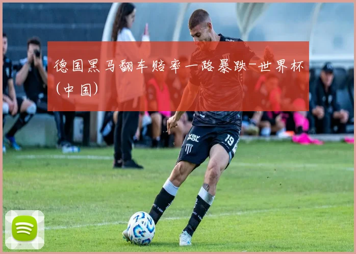 德国黑马翻车赔率一路暴跌-世界杯(中国)