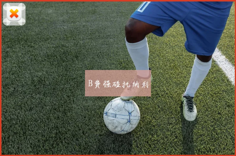 B费强碰托纳利
