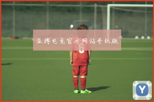亚搏电竞官方网站手机版