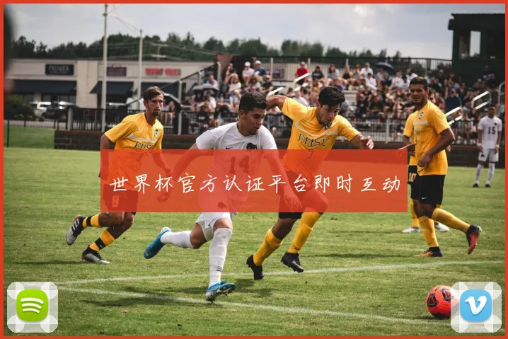 世界杯官方认证平台即时互动