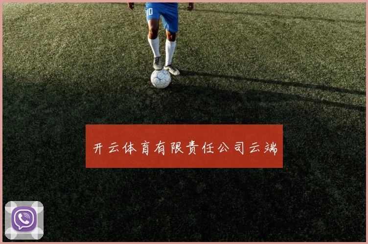 开云体育有限责任公司云端