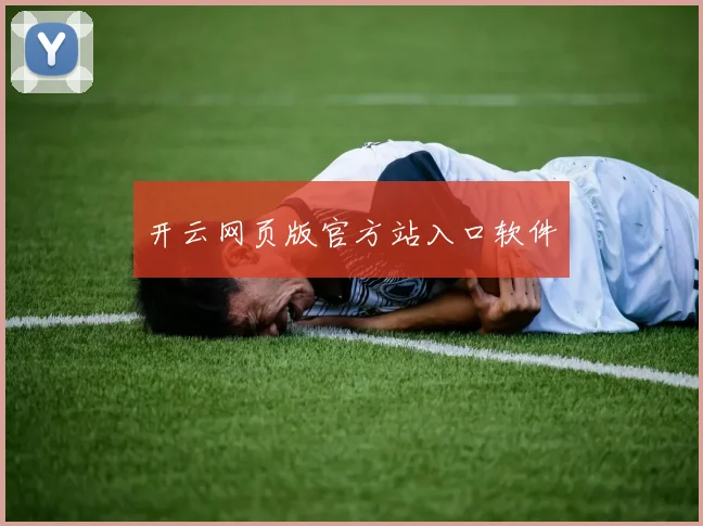开云网页版官方站入口软件