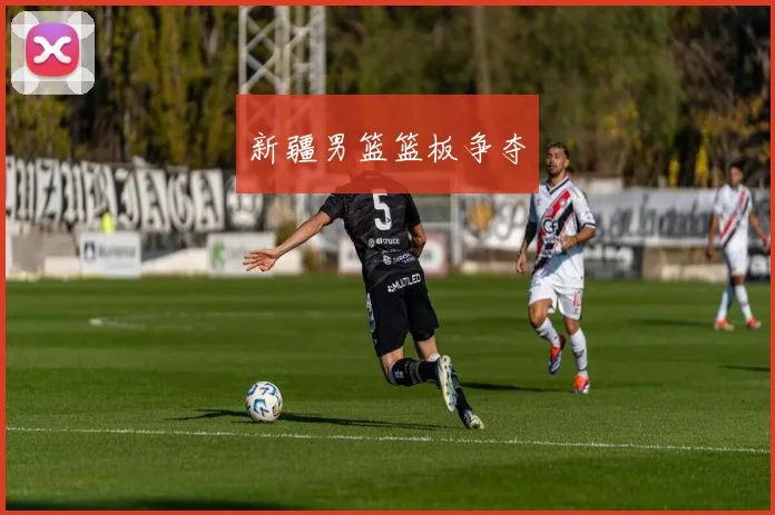 新疆男篮篮板争夺