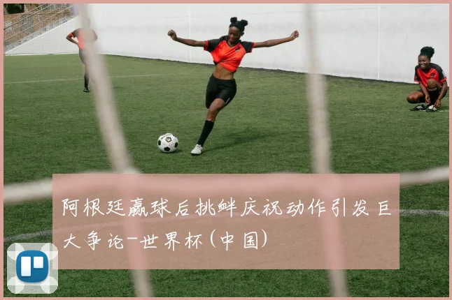 阿根廷赢球后挑衅庆祝动作引发巨大争论-世界杯(中国)