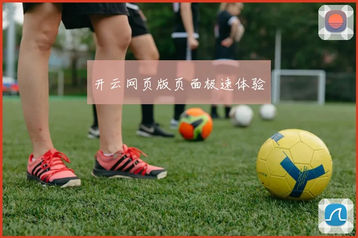 开云网页版页面极速体验