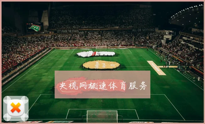 央视网极速体育服务