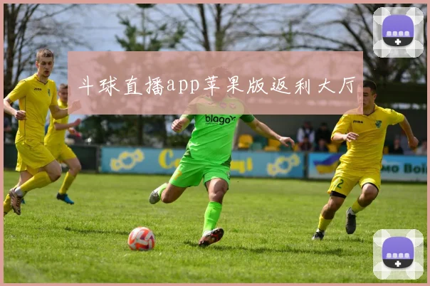 斗球直播app苹果版返利大厅