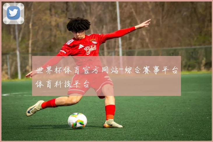 世界杯体育官方网站-综合赛事平台体育科技平台