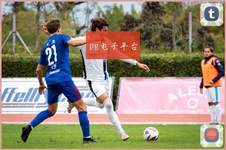 pg电子平台