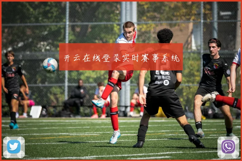 开云在线登录实时赛事系统