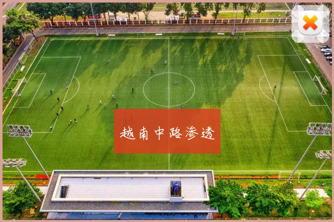 越南中路渗透