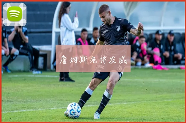 詹姆斯老将发威