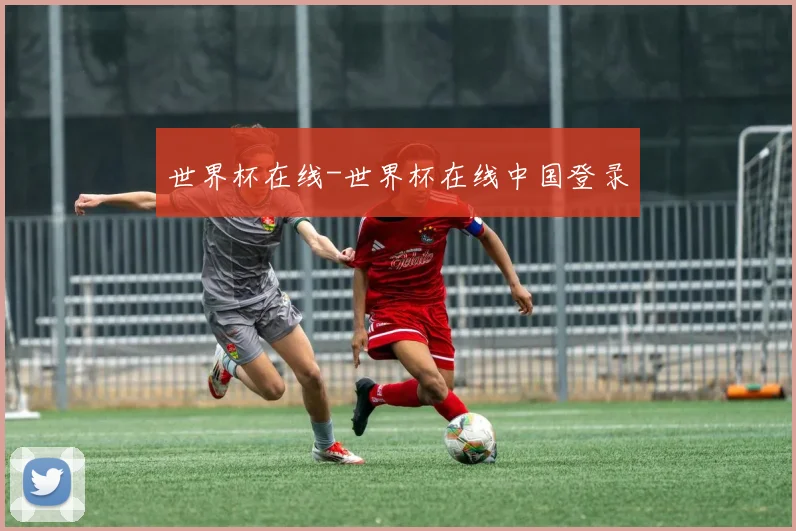 世界杯在线-世界杯在线中国登录