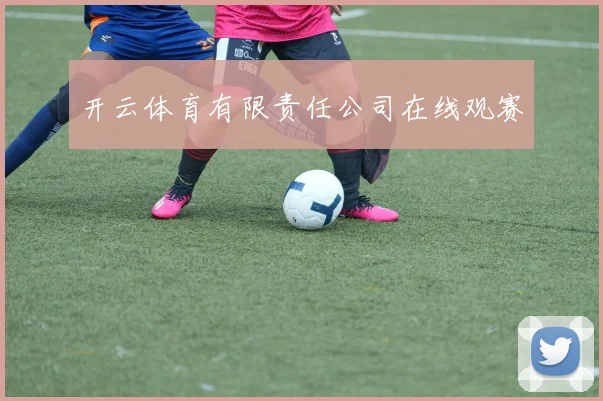 开云体育有限责任公司在线观赛