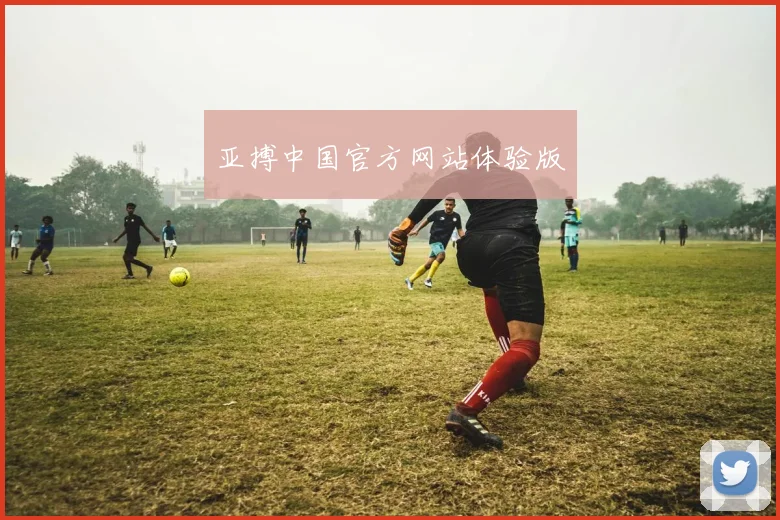亚搏中国官方网站体验版