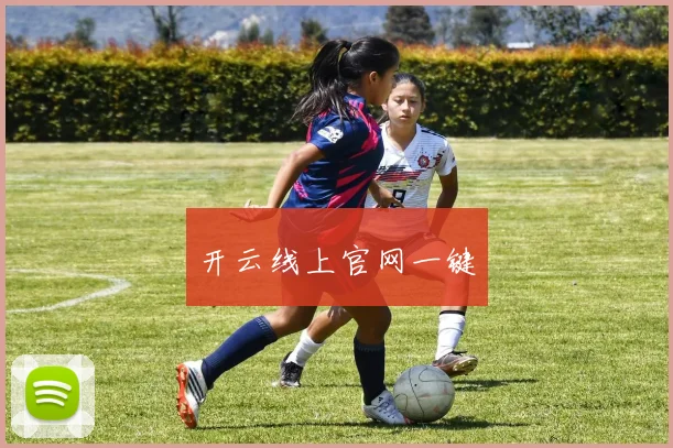 开云线上官网一键