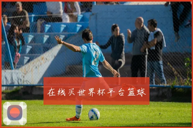 在线买世界杯平台篮球