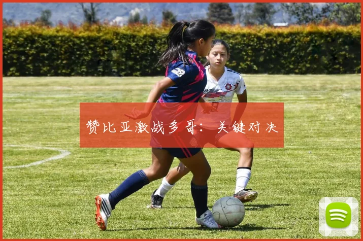赞比亚激战多哥：关键对决