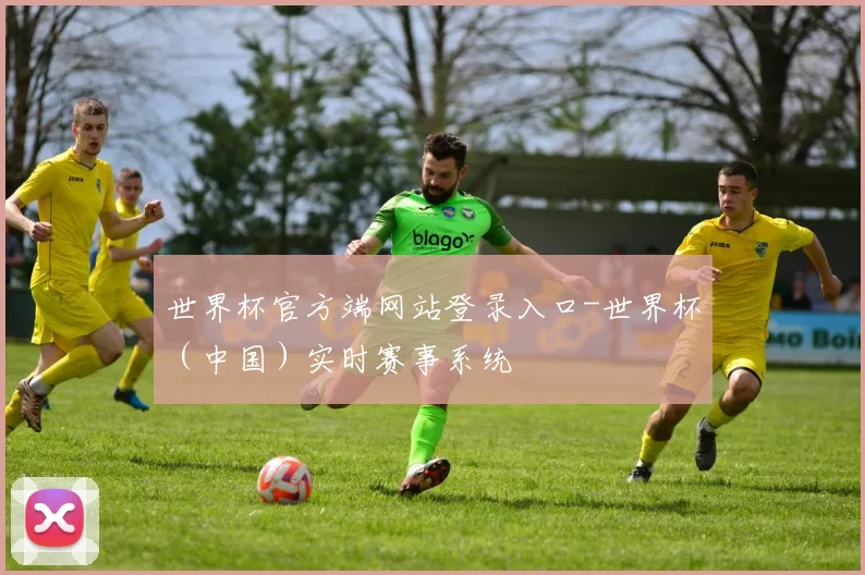 世界杯官方端网站登录入口-世界杯（中国）实时赛事系统
