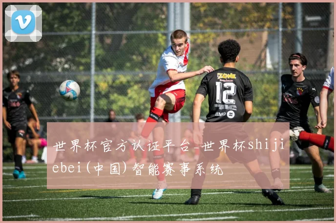 世界杯官方认证平台_世界杯shijiebei(中国)智能赛事系统
