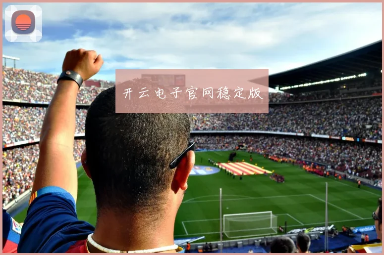 开云电子官网稳定版