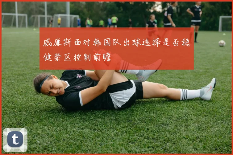 威廉斯面对韩国队出球选择是否稳健禁区控制前瞻