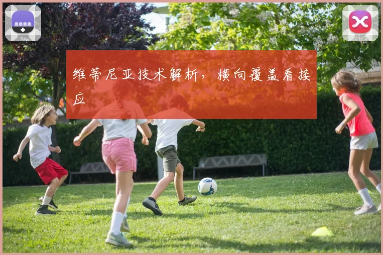 维蒂尼亚技术解析,横向覆盖看接应